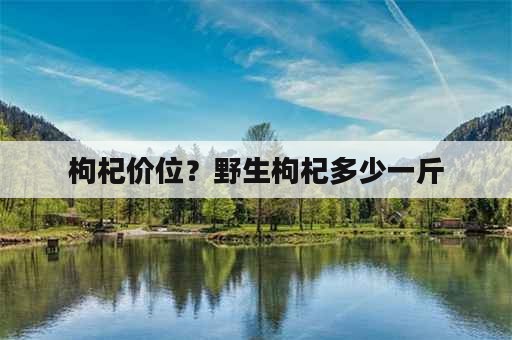 枸杞价位？野生枸杞多少一斤