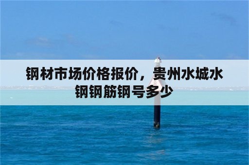 钢材市场价格报价，贵州水城水钢钢筋钢号多少