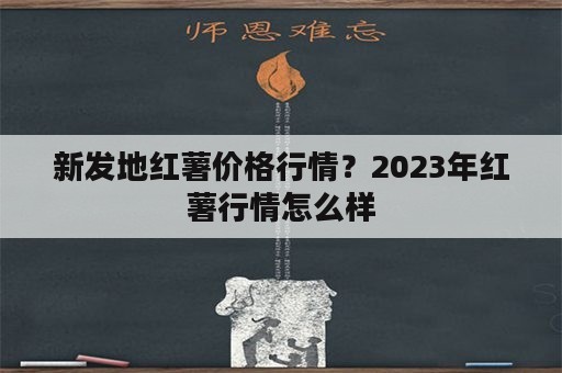 新发地红薯价格行情？2023年红薯行情怎么样