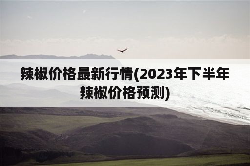 辣椒价格最新行情(2023年下半年辣椒价格预测)