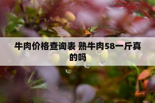 牛肉价格查询表 熟牛肉58一斤真的吗