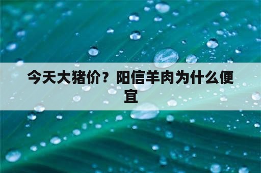 今天大猪价？阳信羊肉为什么便宜