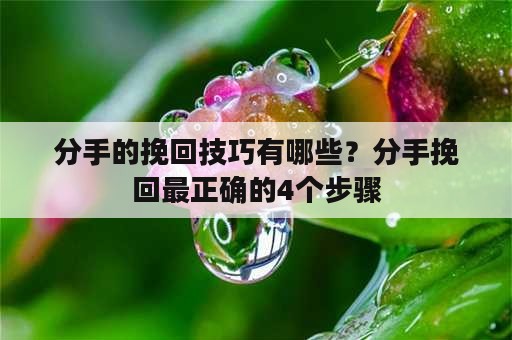 分手的挽回技巧有哪些？分手挽回最正确的4个步骤