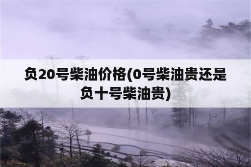 负20号柴油价格(0号柴油贵还是负十号柴油贵)