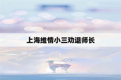 上海维情小三劝退师长