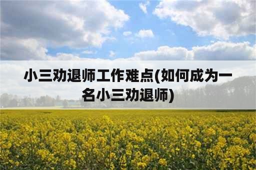 小三劝退师工作难点(如何成为一名小三劝退师)