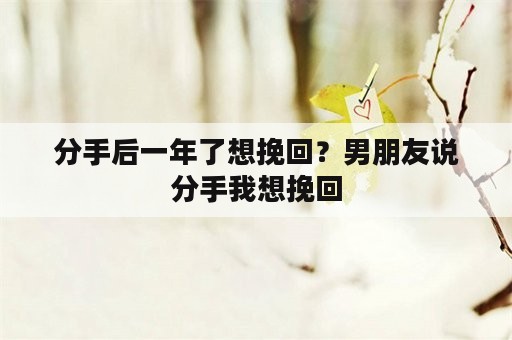 分手后一年了想挽回？男朋友说分手我想挽回