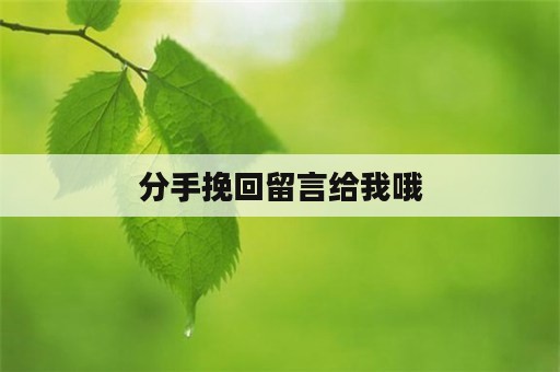 分手挽回留言给我哦