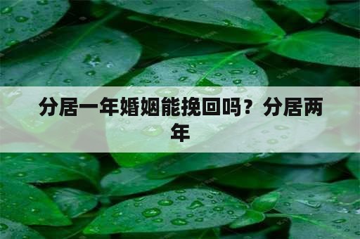 分居一年婚姻能挽回吗？分居两年