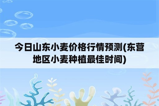 今日山东小麦价格行情预测(东营地区小麦种植最佳时间)