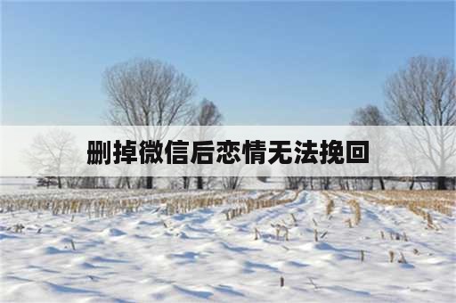 删掉微信后恋情无法挽回