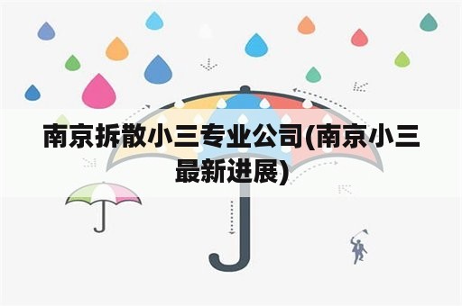 南京拆散小三专业公司(南京小三最新进展)