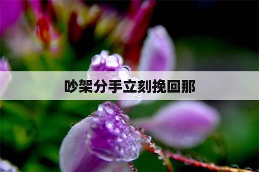 吵架分手立刻挽回那