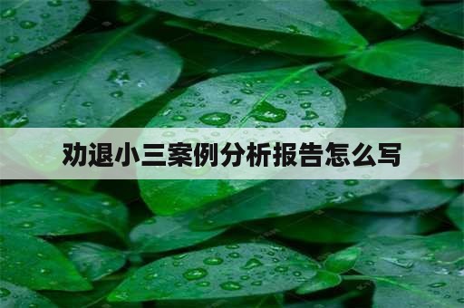 劝退小三案例分析报告怎么写