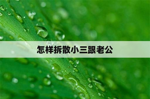 怎样拆散小三跟老公