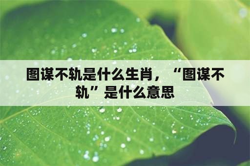 图谋不轨是什么生肖，“图谋不轨”是什么意思