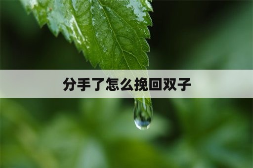 分手了怎么挽回双子