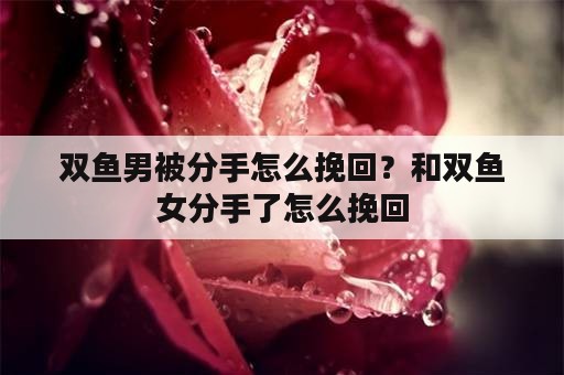 双鱼男被分手怎么挽回？和双鱼女分手了怎么挽回