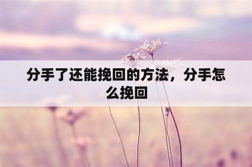 分手了还能挽回的方法，分手怎么挽回