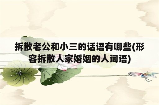 拆散老公和小三的话语有哪些(形容拆散人家婚姻的人词语)