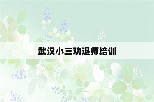 武汉小三劝退师培训