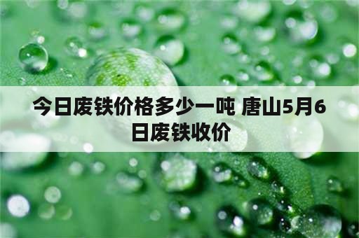 今日废铁价格多少一吨 唐山5月6日废铁收价