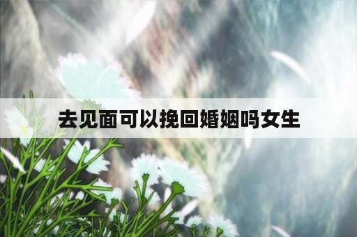 去见面可以挽回婚姻吗女生