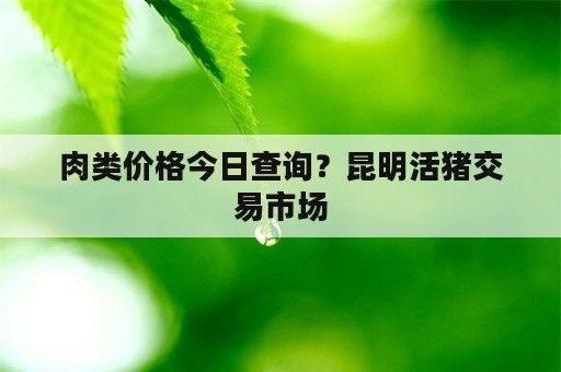 肉类价格今日查询？昆明活猪交易市场