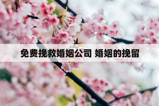 免费挽救婚姻公司 婚姻的挽留