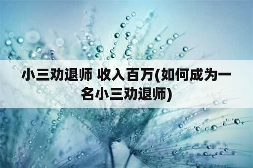 小三劝退师 收入百万(如何成为一名小三劝退师)