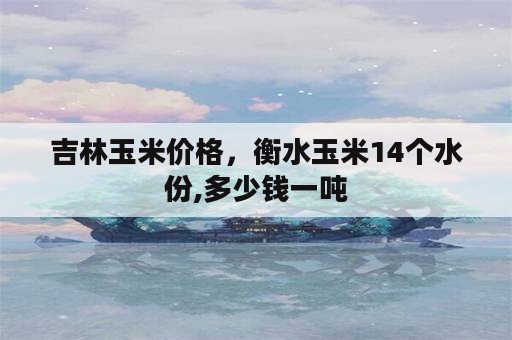 吉林玉米价格，衡水玉米14个水份,多少钱一吨