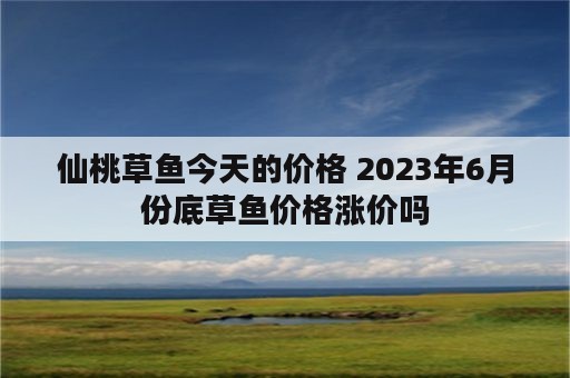 仙桃草鱼今天的价格 2023年6月份底草鱼价格涨价吗