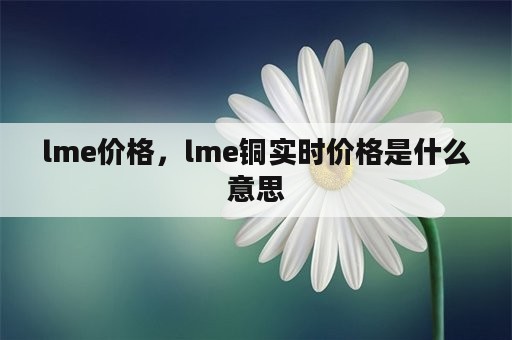 lme价格，lme铜实时价格是什么意思