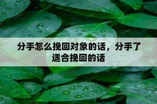 分手怎么挽回对象的话，分手了适合挽回的话