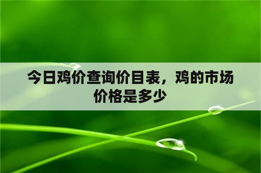 今日鸡价查询价目表，鸡的市场价格是多少