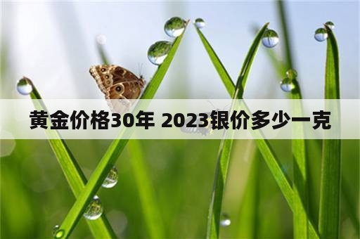 黄金价格30年 2023银价多少一克