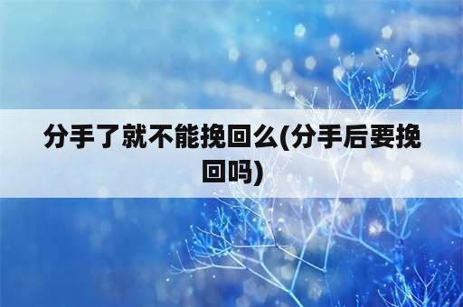 分手了就不能挽回么(分手后要挽回吗)