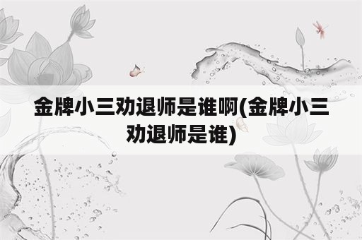 金牌小三劝退师是谁啊(金牌小三劝退师是谁)