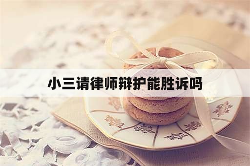 小三请律师辩护能胜诉吗