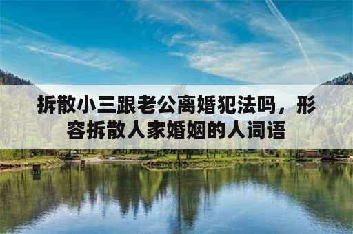 拆散小三跟老公离婚犯法吗，形容拆散人家婚姻的人词语