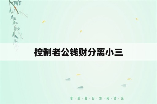 控制老公钱财分离小三