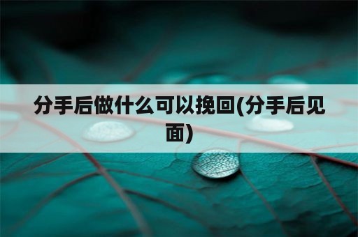 分手后做什么可以挽回(分手后见面)