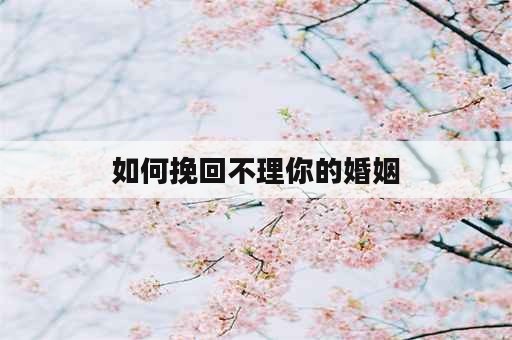 如何挽回不理你的婚姻