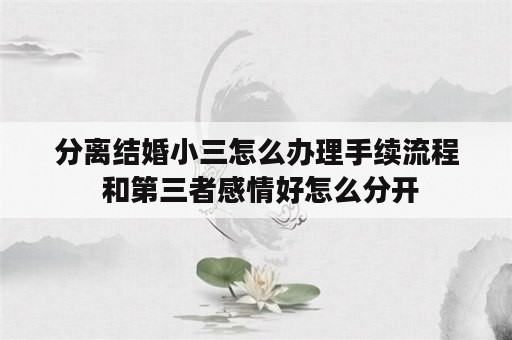 分离结婚小三怎么办理手续流程 和第三者感情好怎么分开