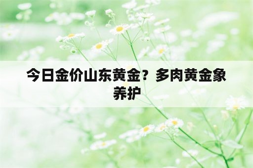 今日金价山东黄金？多肉黄金象养护