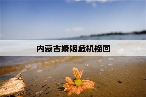 内蒙古婚姻危机挽回