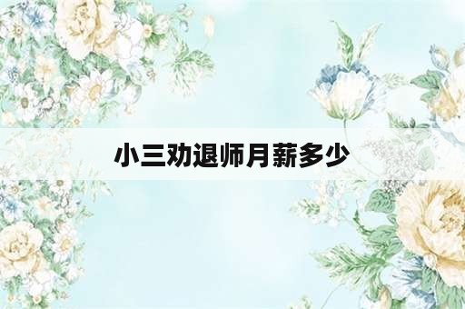 小三劝退师月薪多少