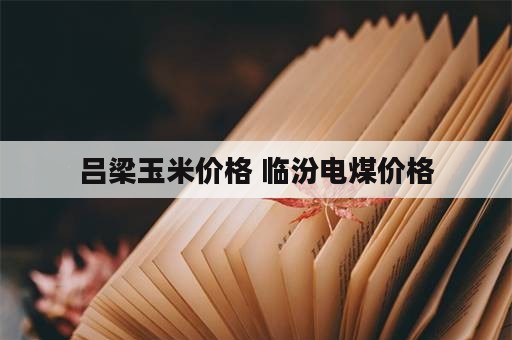 吕梁玉米价格 临汾电煤价格