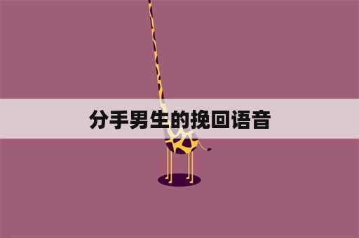 分手男生的挽回语音