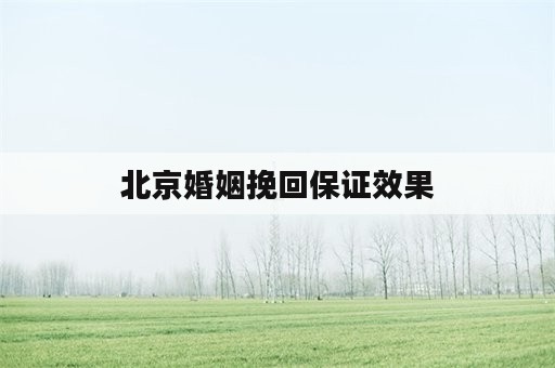 北京婚姻挽回保证效果